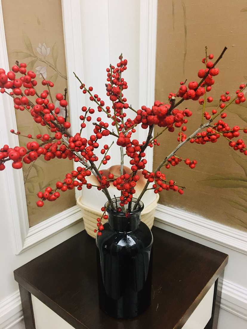 4种“贵族花”,漂亮又难养,价格上千元,养不了一年(比较贵族的名字)