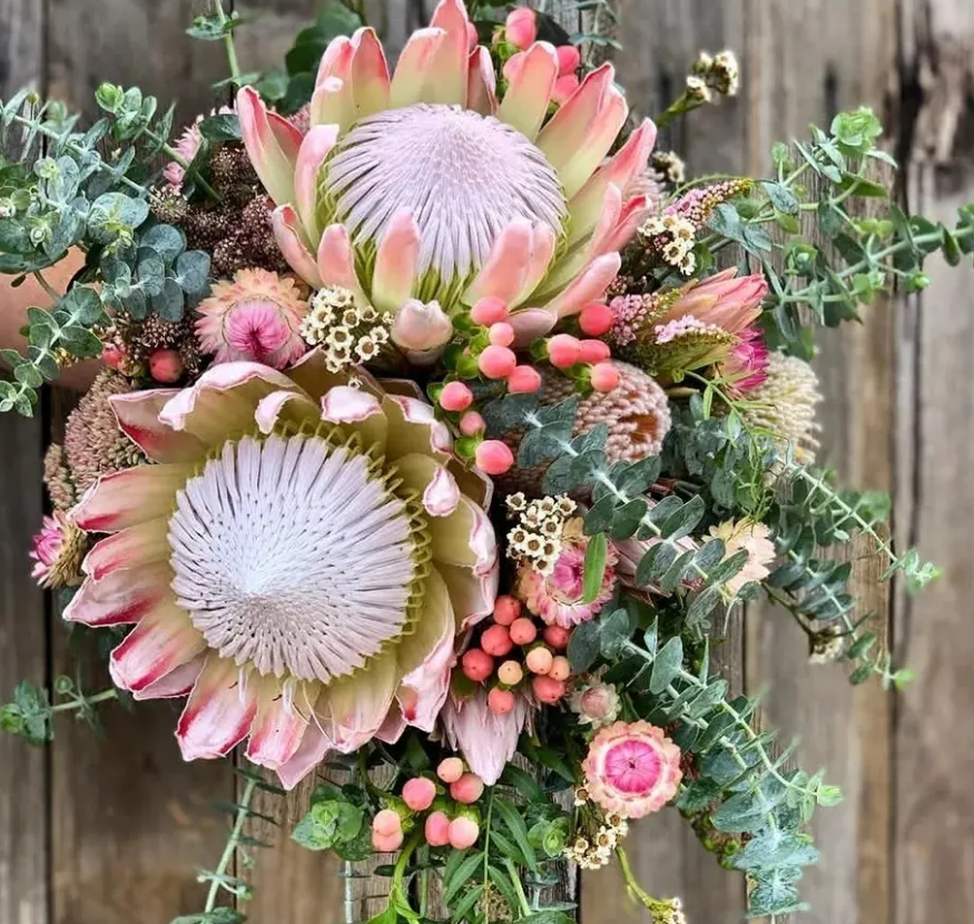 4种“贵族花”,漂亮又难养,价格上千元,养不了一年(比较贵族的名字)