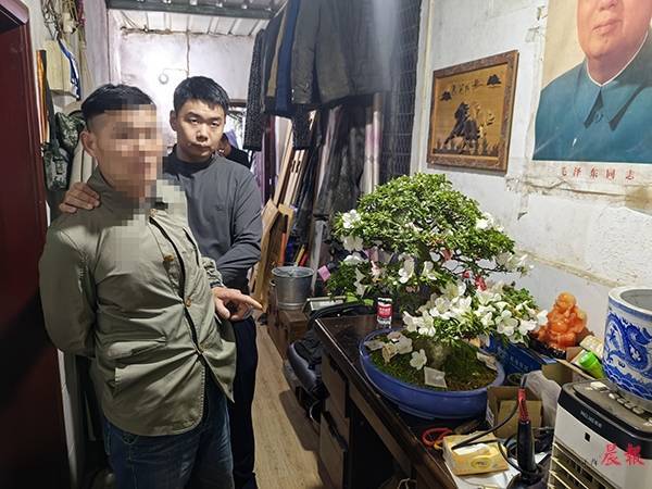 男子盗取名贵花卉欲移栽父亲墓前被抓获(盗窃花盆如何定价)