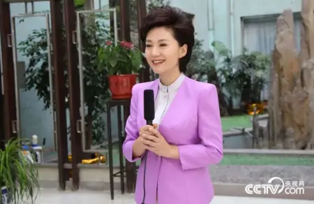 央视主持人名单更新,海霞、欧阳夏丹已退出-央视1主持人