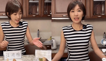 新闻主持人的另一面:从央视到网络:欧阳夏丹的转型之路-央视新闻主持人欧阳夏丹最近不见主持了