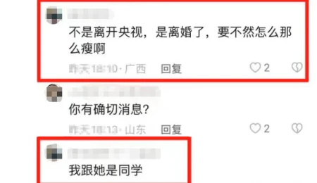 新闻主持人的另一面:从央视到网络:欧阳夏丹的转型之路-央视新闻主持人欧阳夏丹最近不见主持了