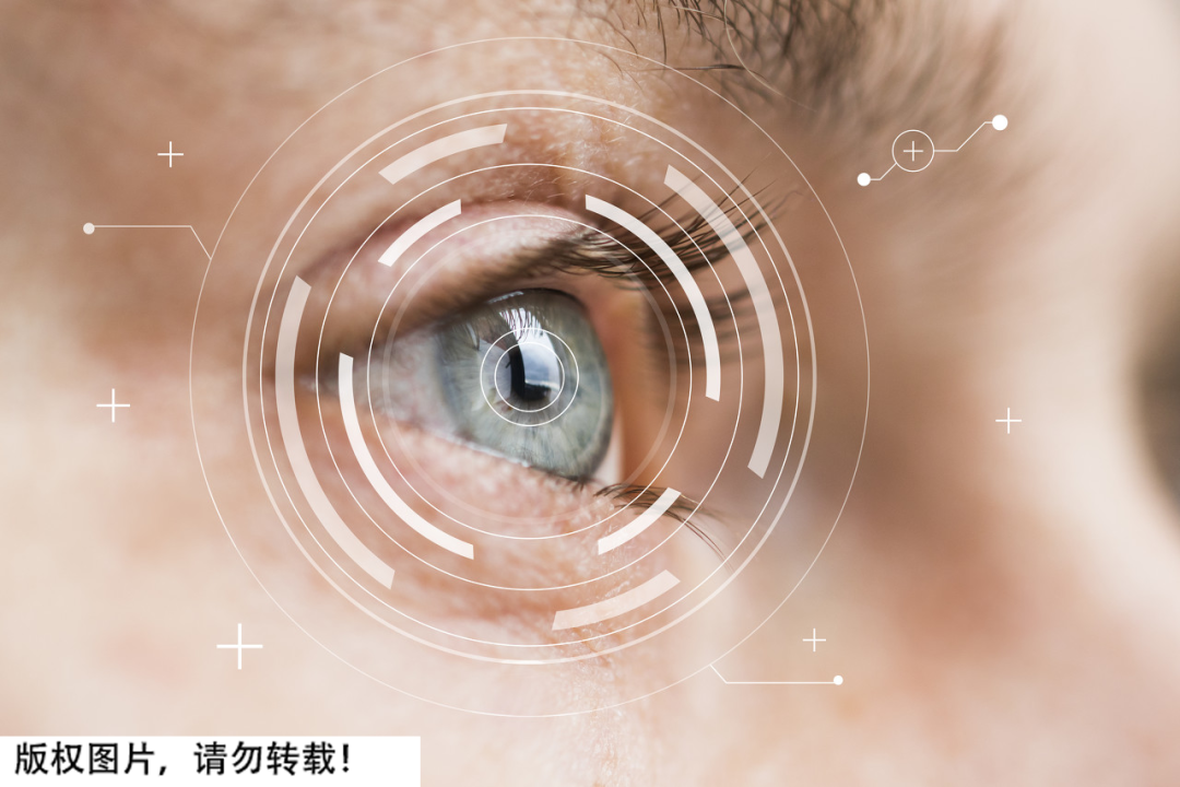 辽宁首次捕获4只金色蚊子:通体金黄,"蚊中贵族"?对人体有害?-金色的小蚊子