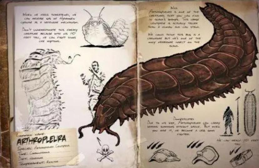 成都街头爬满黑色虫子,专家称是千足虫,网友:跟地震有关系吗?-成都的小黑虫子