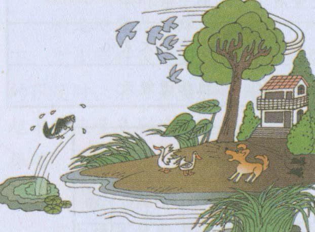 成都街头爬满黑色虫子,专家称是千足虫,网友:跟地震有关系吗?-成都的小黑虫子