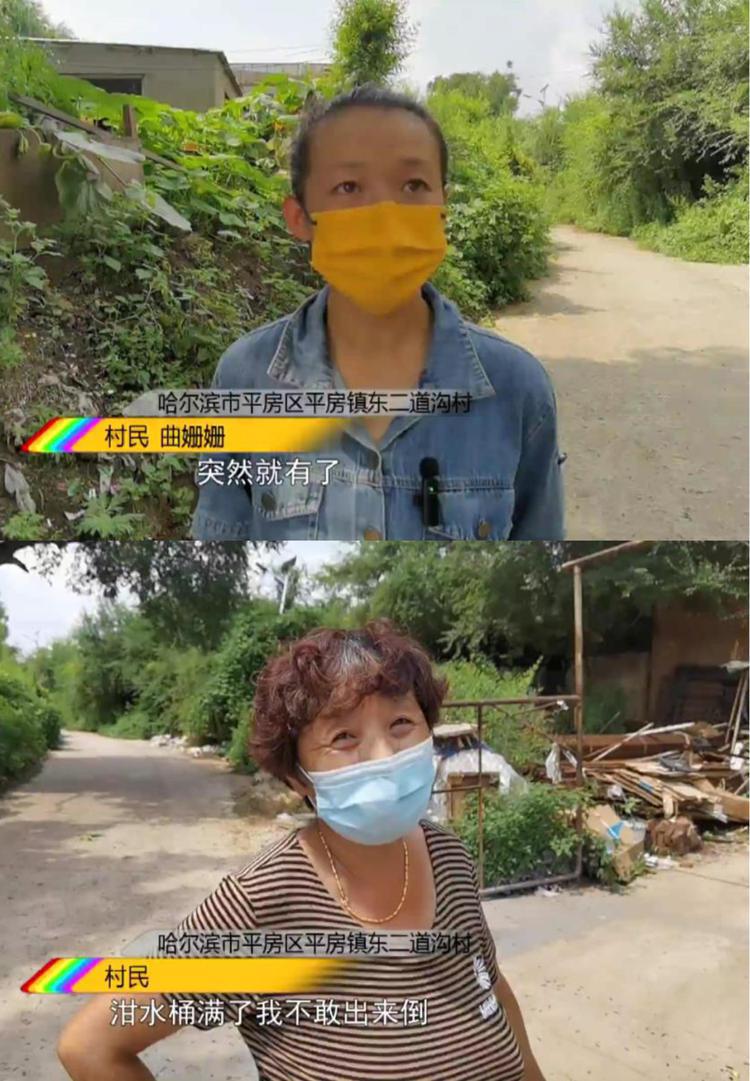 成都街头爬满黑色虫子,专家称是千足虫,网友:跟地震有关系吗?-成都的小黑虫子