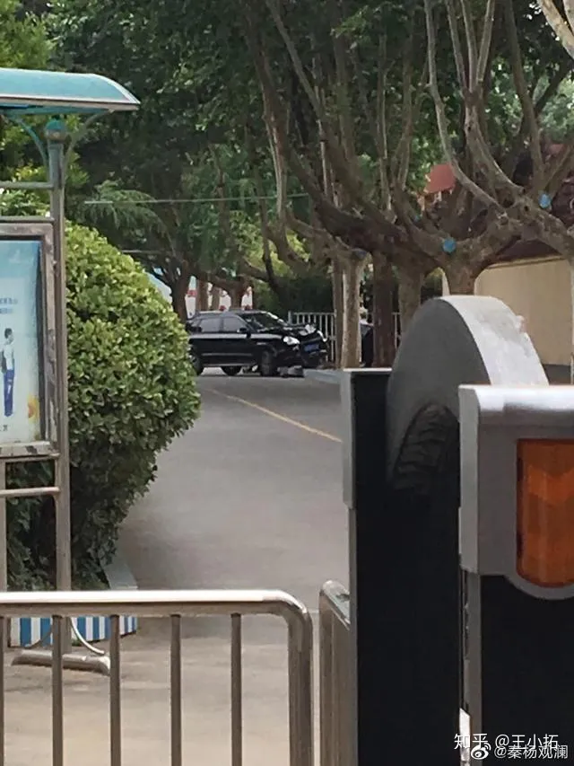 小学生校内被撞身亡,莲湖区教育局分管副局长停职,涉事校长免职-莲湖区教育局书记李丛简历