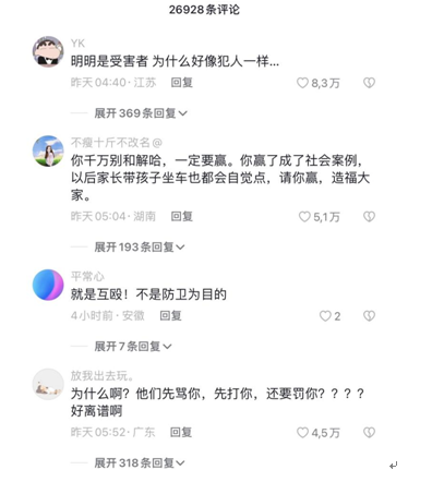 被打后还手是互殴?高铁被掌掴女子拒绝和解,司法部发声!-高铁殴打13人