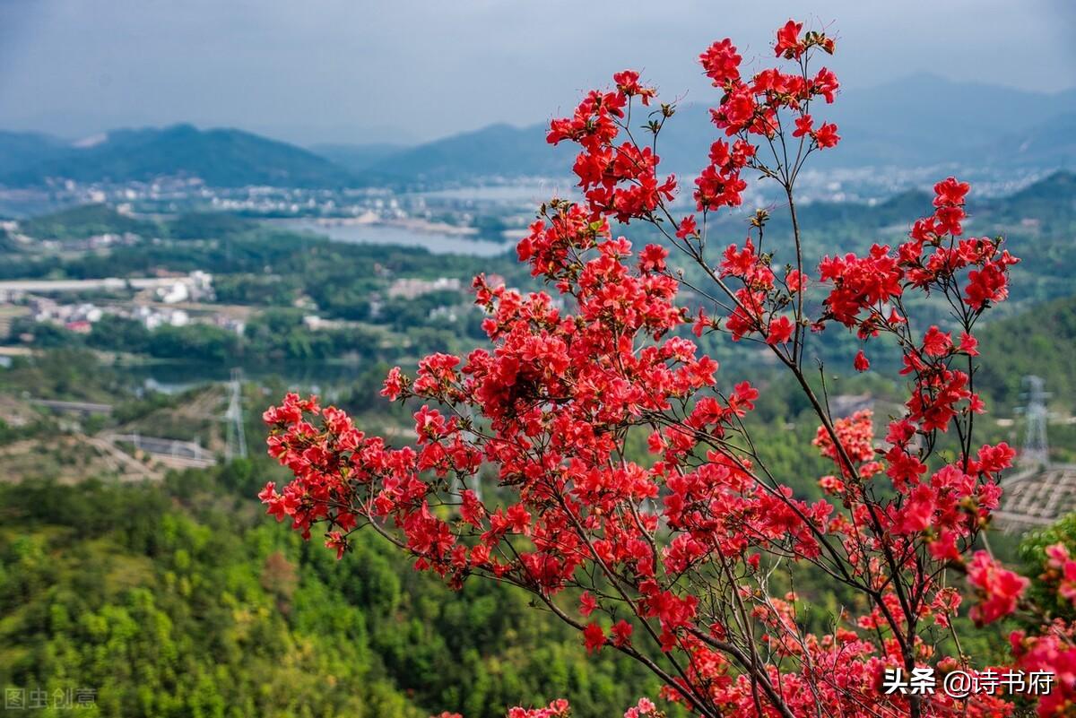 有一说一,赣不能代表江西全部,江才是江西省真正的简称(江西省简称赣的原因)