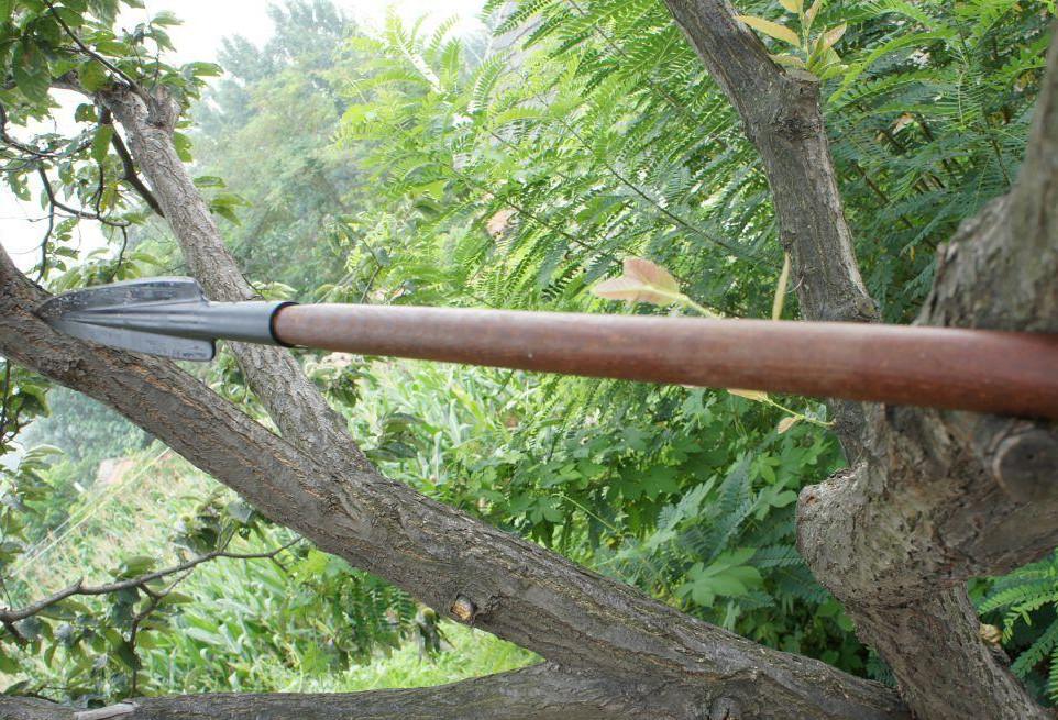 智人只有木棒和石头,如何能早早消灭比老虎更凶猛的剑齿虎?(剑齿虎如果没有灭绝)