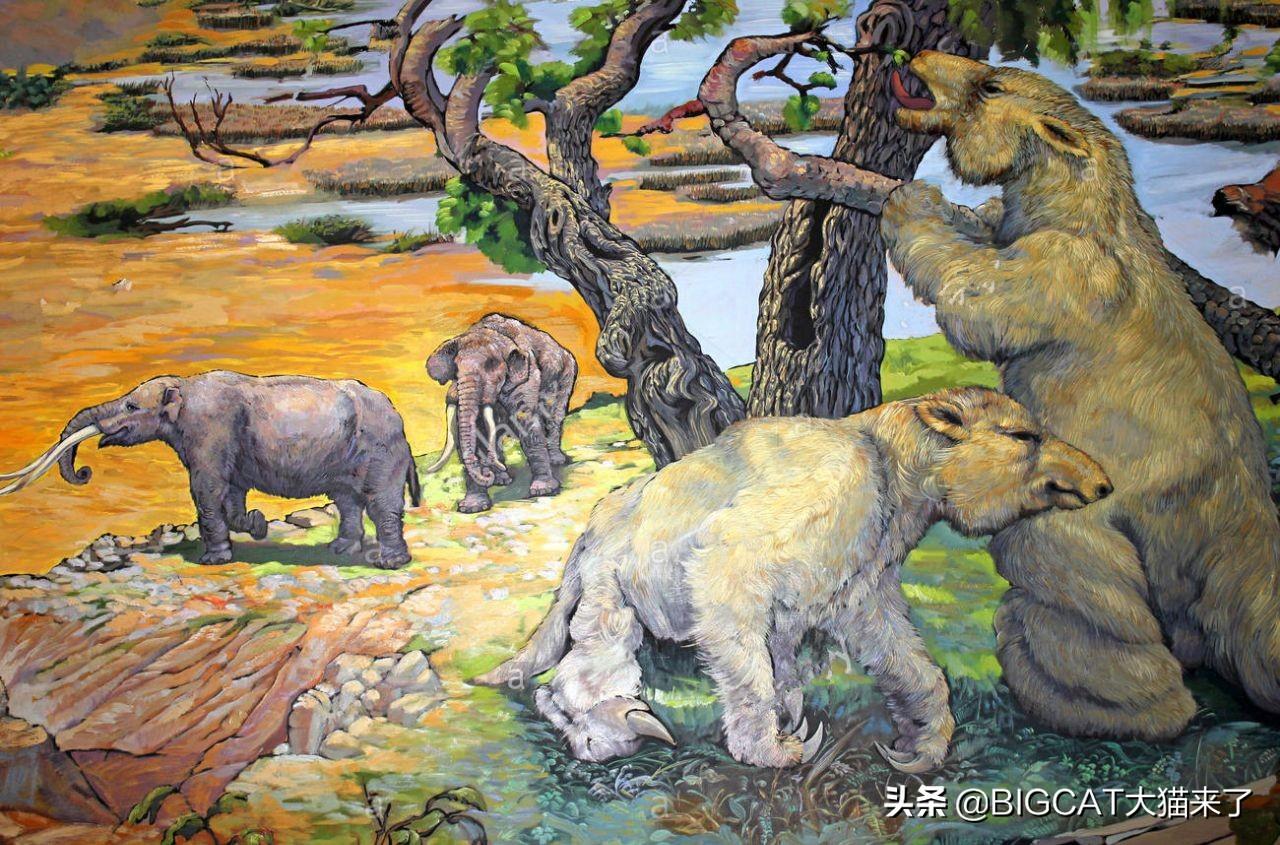 地球史上最大的地懒:行动缓慢只吃素,却可轻松吓跑剑齿虎(地球上最大的物种是什么)