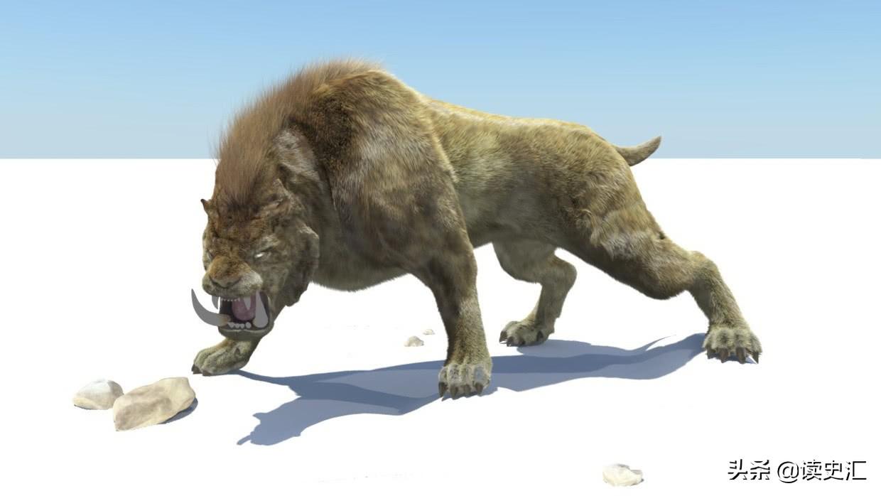 距今9000年前,沃姆冰河时期,人类围捕剑齿虎的手段揭秘(中国最早的葡萄酒出现在哪个时期)