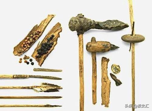 距今9000年前,沃姆冰河时期,人类围捕剑齿虎的手段揭秘(中国最早的葡萄酒出现在哪个时期)