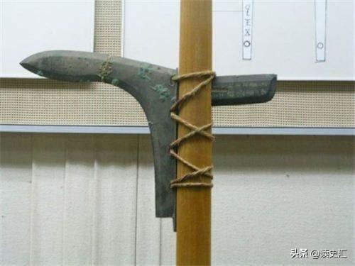 距今9000年前,沃姆冰河时期,人类围捕剑齿虎的手段揭秘(中国最早的葡萄酒出现在哪个时期)