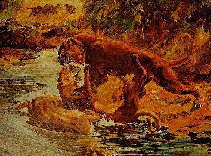 地球上存在过的,能被称为剑齿虎的生物恐怕得有上百种之多(世界上到底有没有剑齿虎)