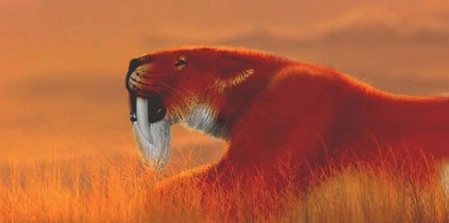 地球上存在过的,能被称为剑齿虎的生物恐怕得有上百种之多(世界上到底有没有剑齿虎)