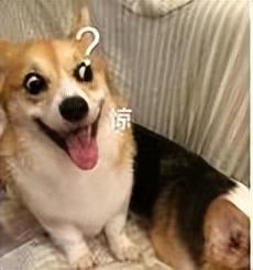 网红“神算子”3年赚200万,被抓后承认:都是骗人的-神算子平台是真的假的