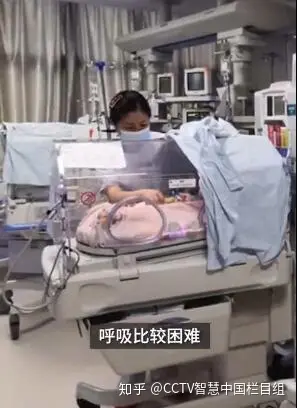 湖北一29岁产妇诞下2男2女四胞胎,全家人崩溃-湖北生下两男两女