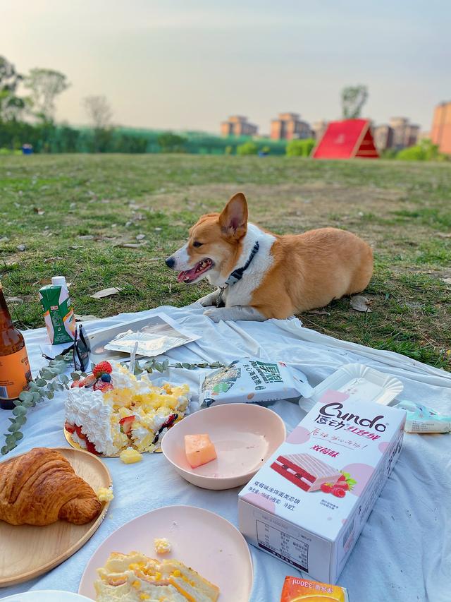 抖音成都玩乐热门榜前10 成都再添城市新地标(成都最火抖音)