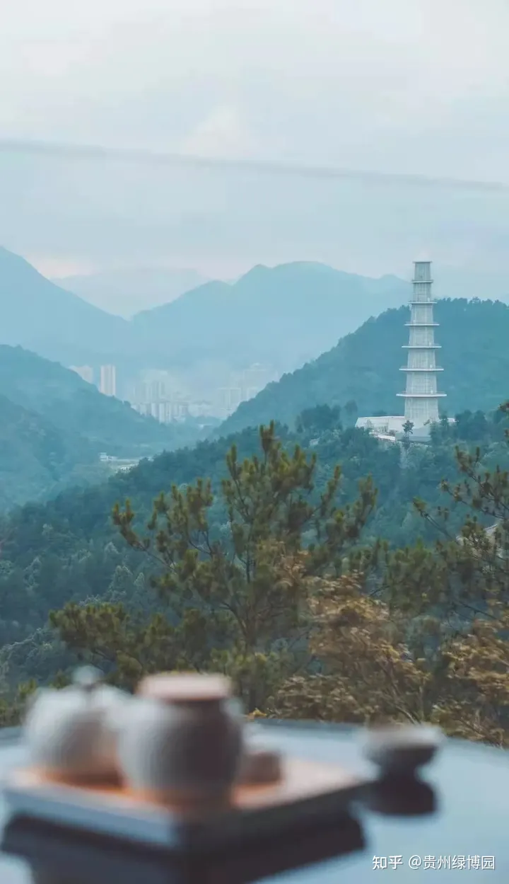 尾款人的酒店福利,99元即可入住都匀台酒店-都匀台酒店招聘