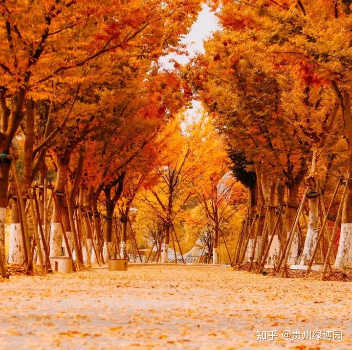 尾款人的酒店福利,99元即可入住都匀台酒店-都匀台酒店招聘