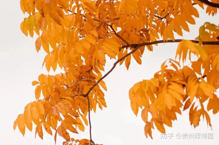 尾款人的酒店福利,99元即可入住都匀台酒店-都匀台酒店招聘