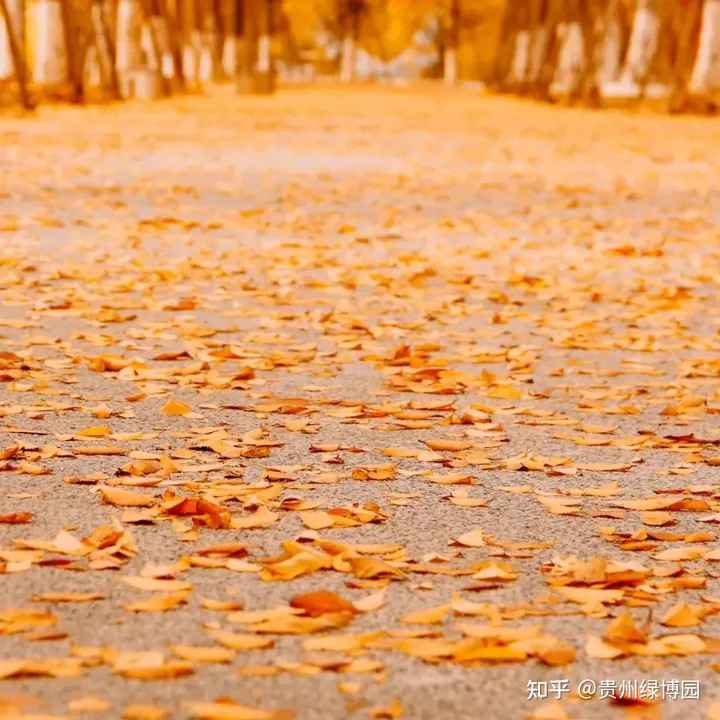 尾款人的酒店福利,99元即可入住都匀台酒店-都匀台酒店招聘