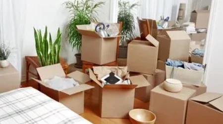 2023年农历二月十五惊蛰宜入住新房吗(2021年农历二月十五宜与不宜)