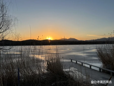 猴子森林系列66:整齐之林(独立原创,禁止抄袭)(猴子森林怎么画简单)