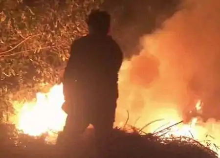 入职第一天,浙江小伙在上班路上救了个火!关键还没迟到-第一天上班救了总裁怎么办