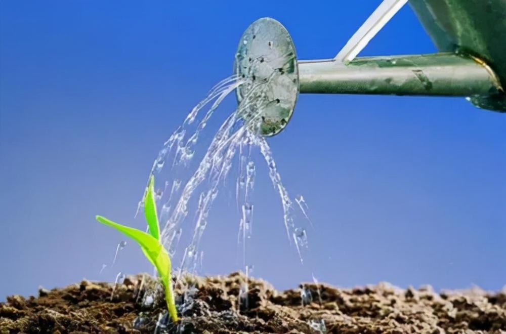 (生活常识)生活超实用小窍门100妙招(生活小窍门500妙招)