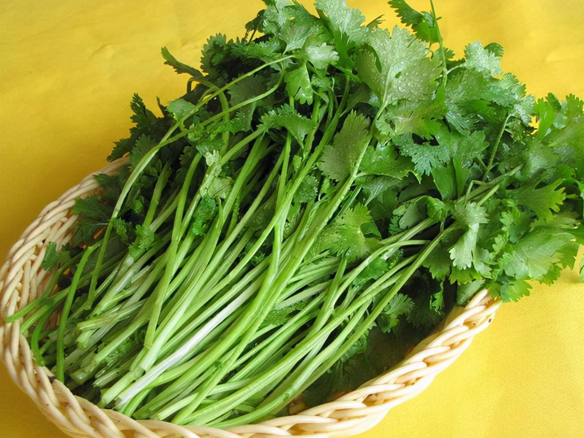 (生活常识)生活超实用小窍门100妙招(生活小窍门500妙招)