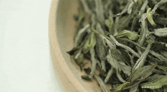 (生活常识)生活超实用小窍门100妙招(生活小窍门500妙招)