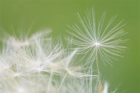 520唯美句子文案精选34句(句子妈咪)-520文字简短