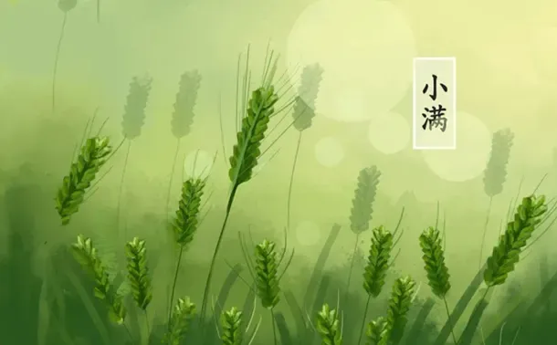 二十四节气——小满的来历和风俗(小满节气的含义是什么?二十四节气小满的来历传说故事)