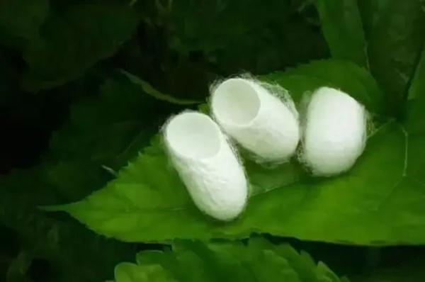 今日小满|何为“小满”?蕴含哪些人生道理?这些知识讲给孩子听(小满是指)