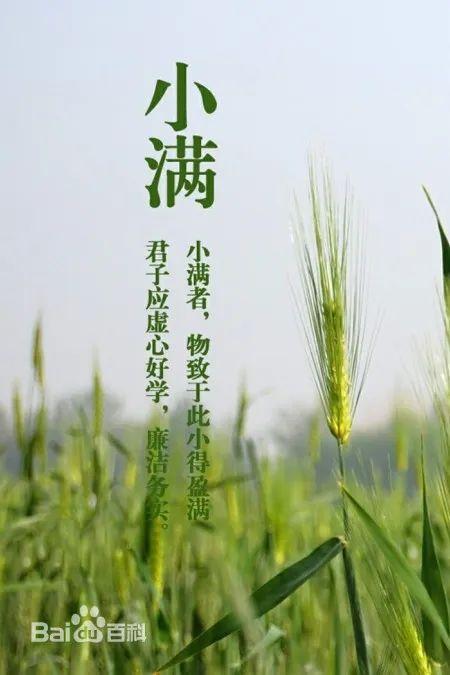 【四季守护·二十四节气】小满(四季二十四节气顺序)