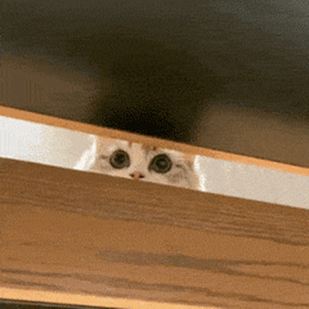 放假通知!新鲜出炉!-最简单放假通知怎么写端午节