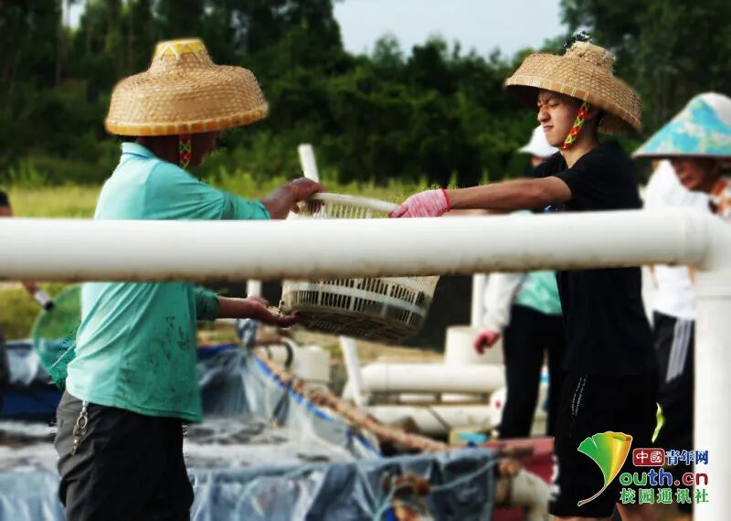 致中塘村的中小学生:炎炎夏日,让我们和红星火一起与科技撞个满怀吧!(中塘祠堂最新消息)