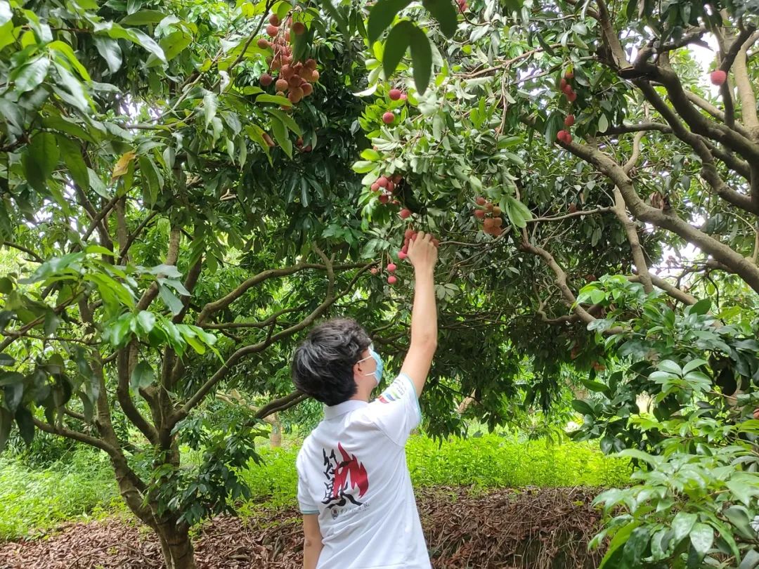 致中塘村的中小学生:炎炎夏日,让我们和红星火一起与科技撞个满怀吧!(中塘祠堂最新消息)