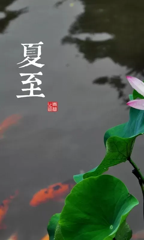 6 月 21 日 17 时 14 分迎来夏至,你对夏至都有哪些了解?-夏至是6月21还是6月22