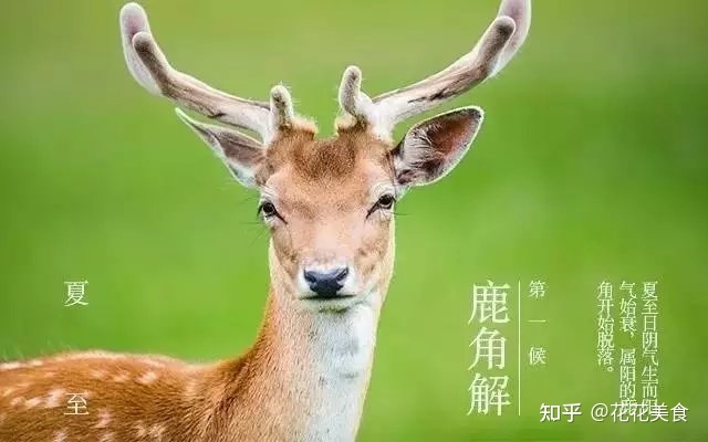 【二十四节气·夏至】日北至,日长之至,日影短至,故曰夏至-夏至日的昼夜情况