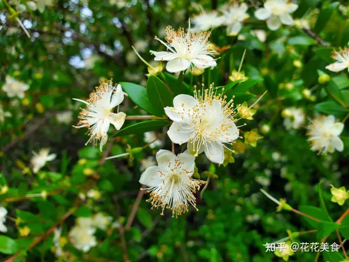 【二十四节气·夏至】日北至,日长之至,日影短至,故曰夏至-夏至日的昼夜情况