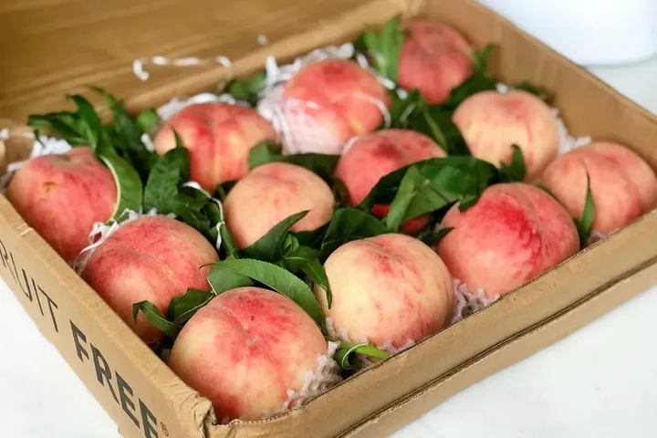 夏至这天应该吃些什么?-夏至这天应该吃些什么?