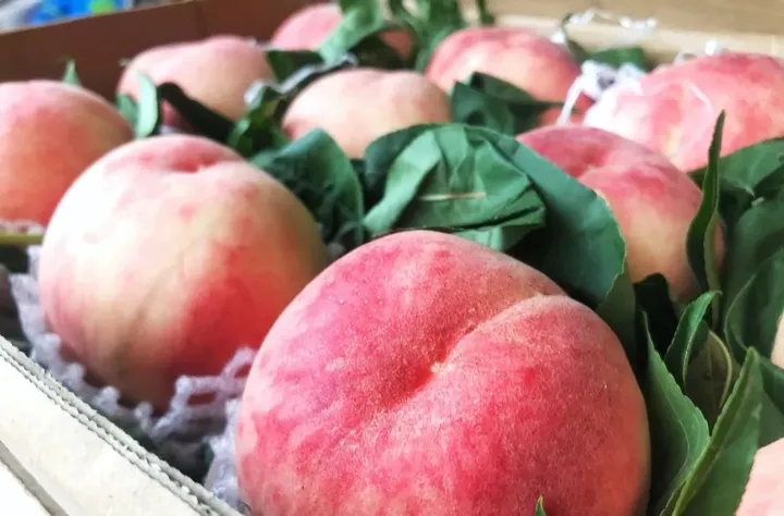 夏至这天应该吃些什么?-夏至这天应该吃些什么?