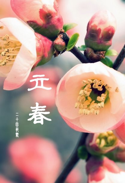 24节气对应吃什么食物?-二十四节气吃什么好