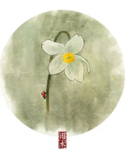 24节气对应吃什么食物?-二十四节气吃什么好