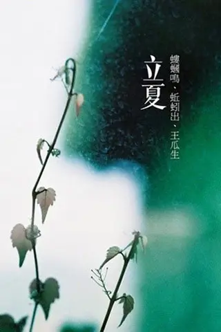 24节气对应吃什么食物?-二十四节气吃什么好