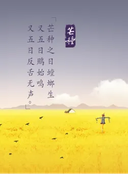 24节气对应吃什么食物?-二十四节气吃什么好