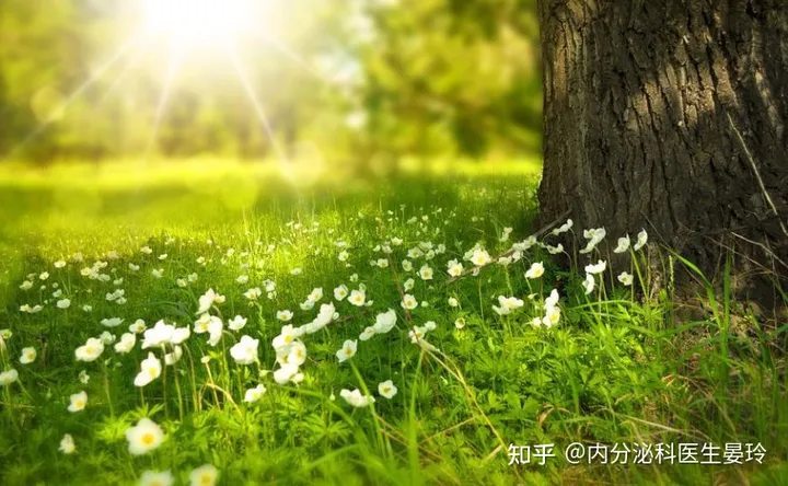 夏至美食的正确打开方式-食谱大全家常菜的做法大全下载